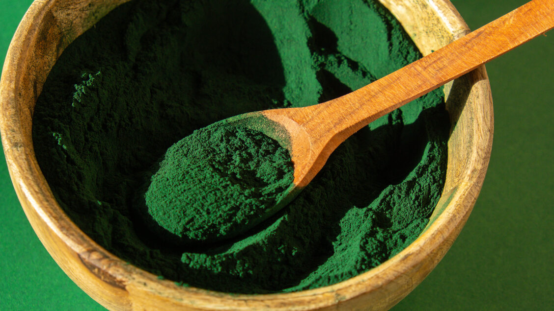 Alga Chlorella, fonte foto Bigstock