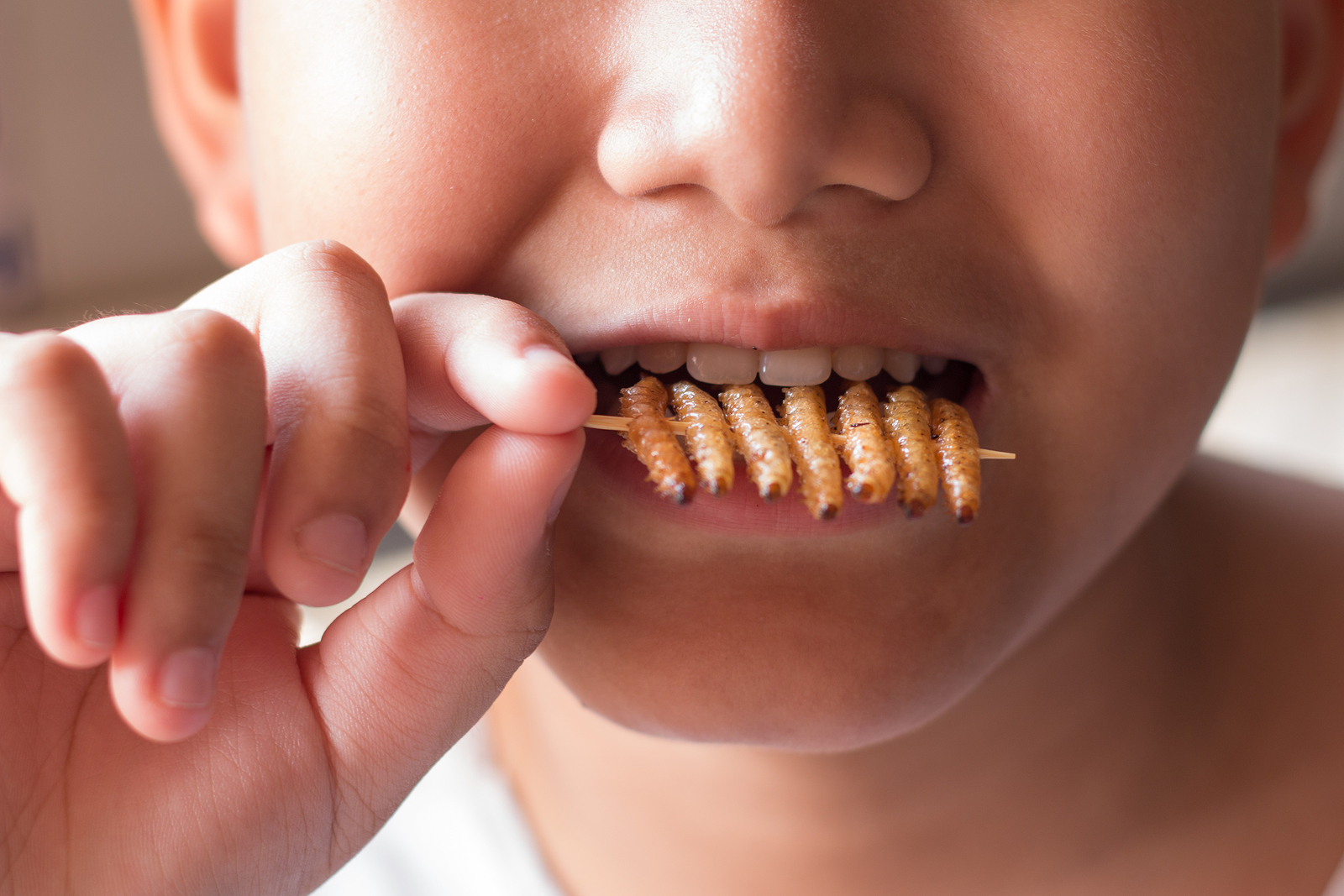 Insetti commestibili nella dieta dei bambini, fonte foto Bigstock