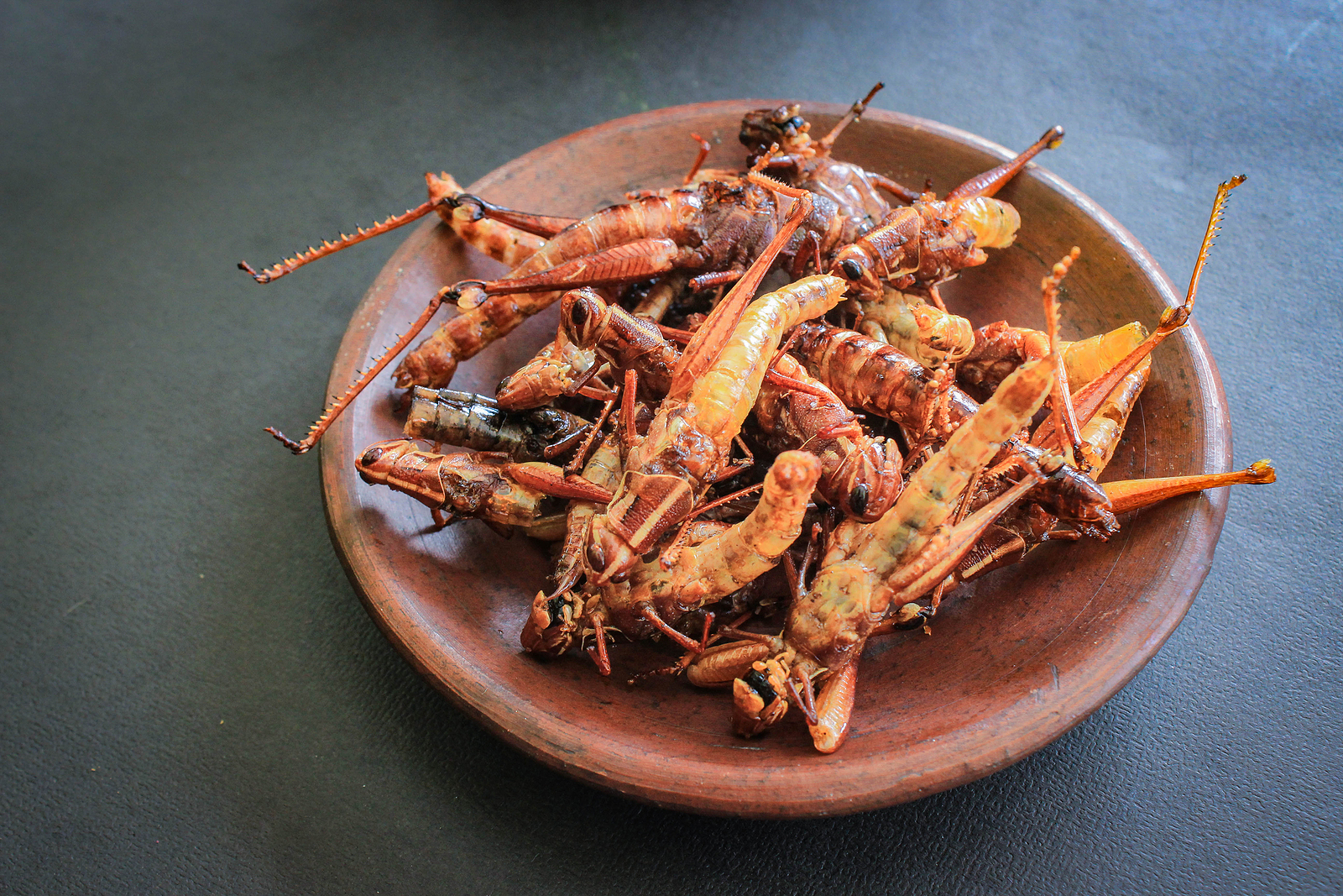 Locuste in cucina, fonte foto Bigstock