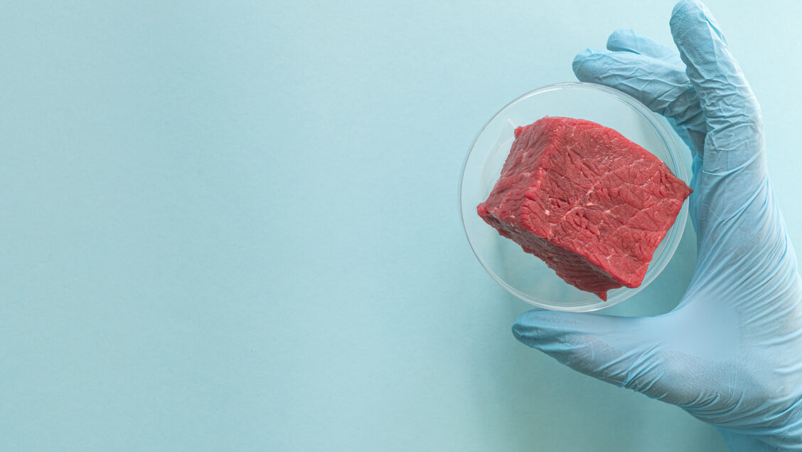 Carne Sintetica, fonte foto Bigstock