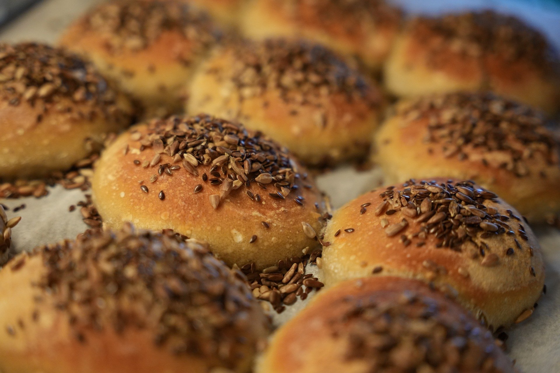 Pane con farina di insetti, immagine di repertorio - Fonte foto: Pixabay.com