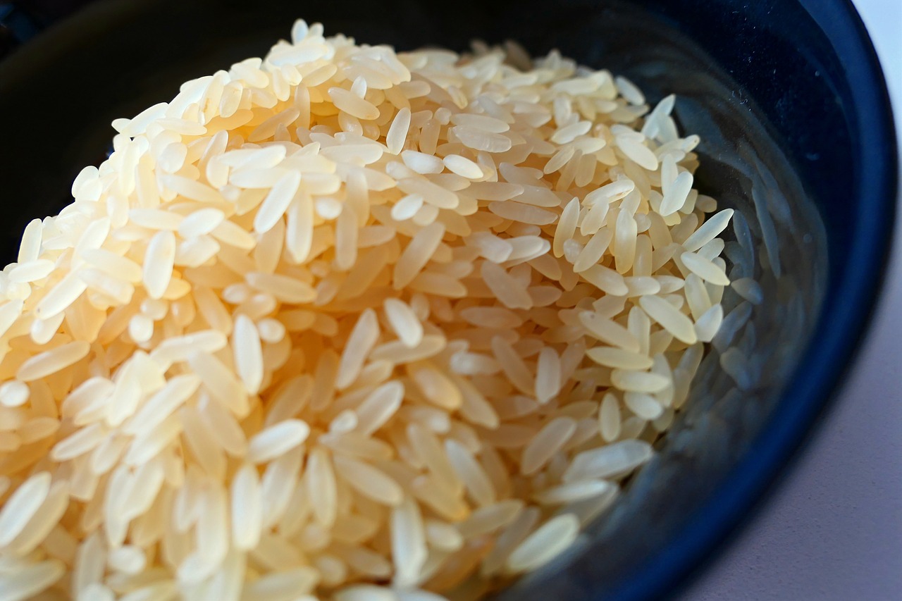 Riso ricoperto di carne coltivata, foto di repertorio - Fonte: Pixabay.com