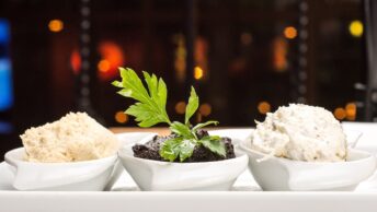 Tapenade con farina di grilli, immagine di repertorio: fonte foto Pixabay